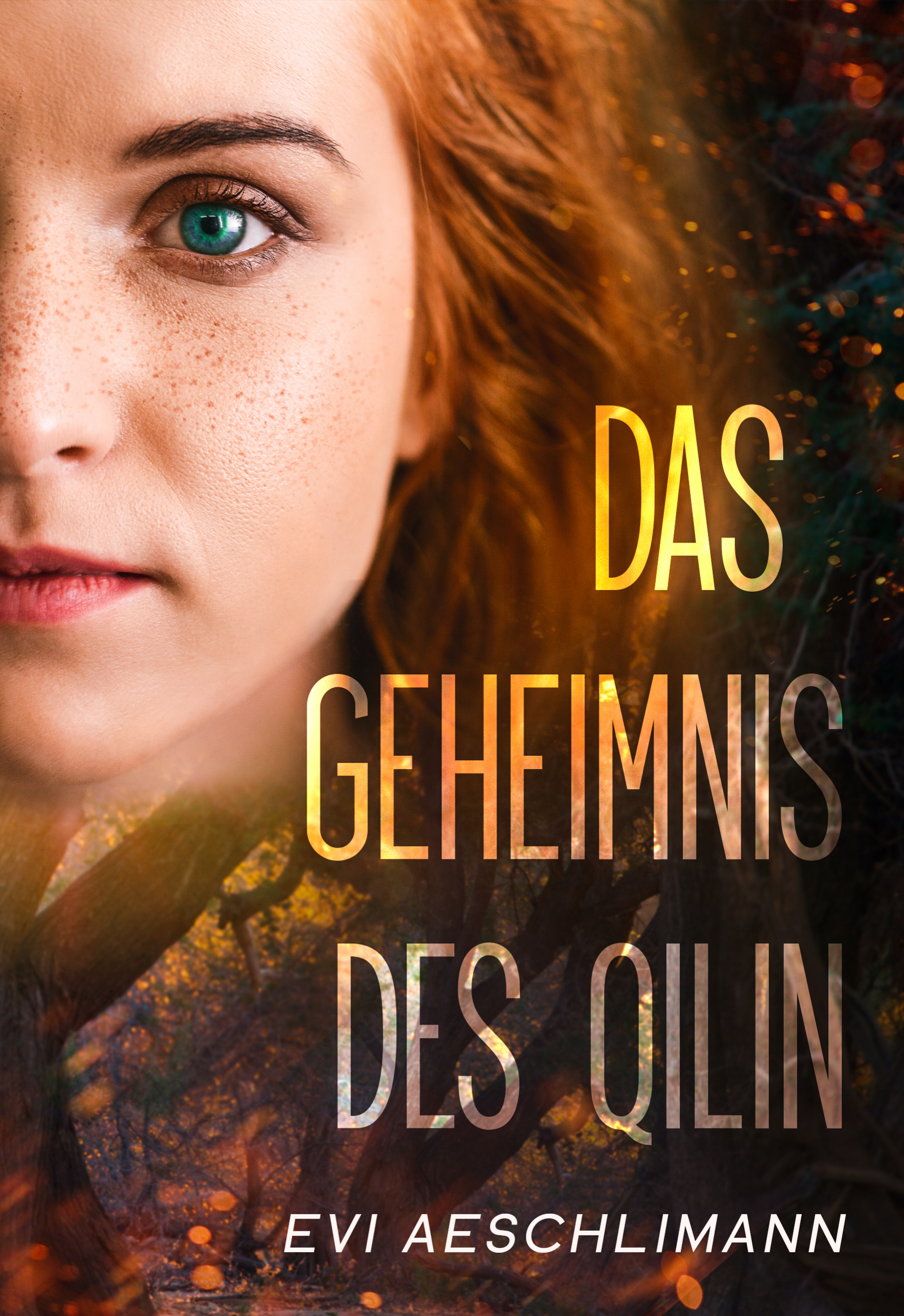 Das Geheimnis des Qilin Buchcover